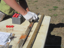 Soil Sampling