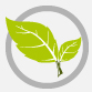 Environmental Assessement