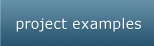Project Examples